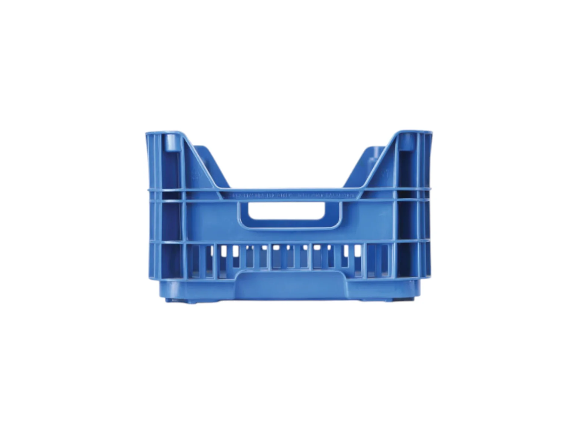 diseiro-v1-back